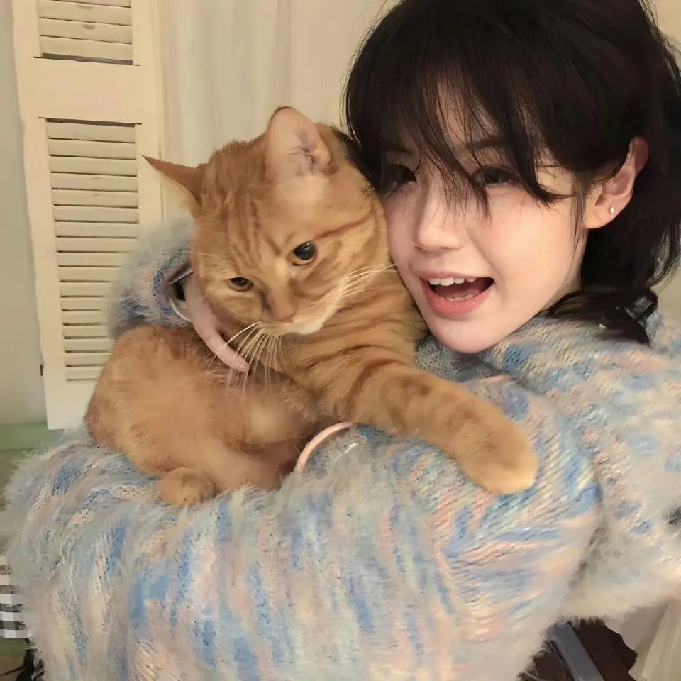 猛虎3