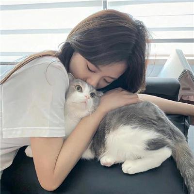 狐狸捕手